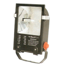 Floodlight Fixture (DS-309B)